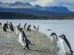 Expedição Fim do Mundo - Ushuaia - El Calafate - El Chalten - Bariloche - Argentina